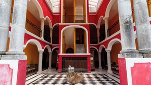 Diseño del edificio