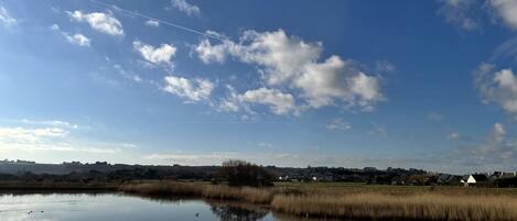 Een rustig meer met rietkragen op de voorgrond en een heldere blauwe lucht met verspreide wolken.
