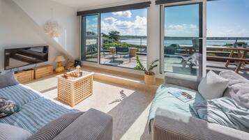 Smart TV, chimenea, videojuegos y libros