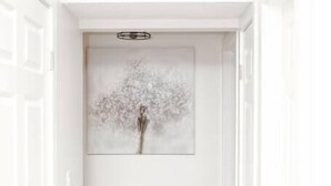 A hallway with white walls and a wooden floor leading to a door with a framed artwork of a tree. - Newly Renovated (6A) OSU/Central ❤NearEVERYTHING (Columbus)