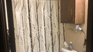 A bathroom with a toilet, a sink, a cabinet, and a shower curtain with a tree pattern. - HCHideaway-Quiet, Cottagelike!  Pet Friendly!  Queen bed! (Aberdeen)