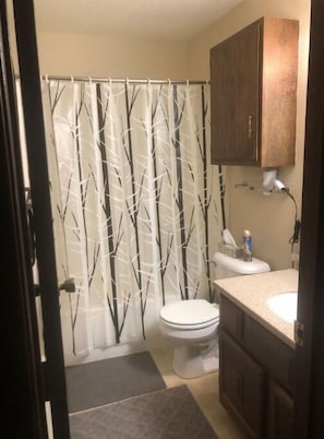 Combined shower/bathtub, hair dryer, towels, soap