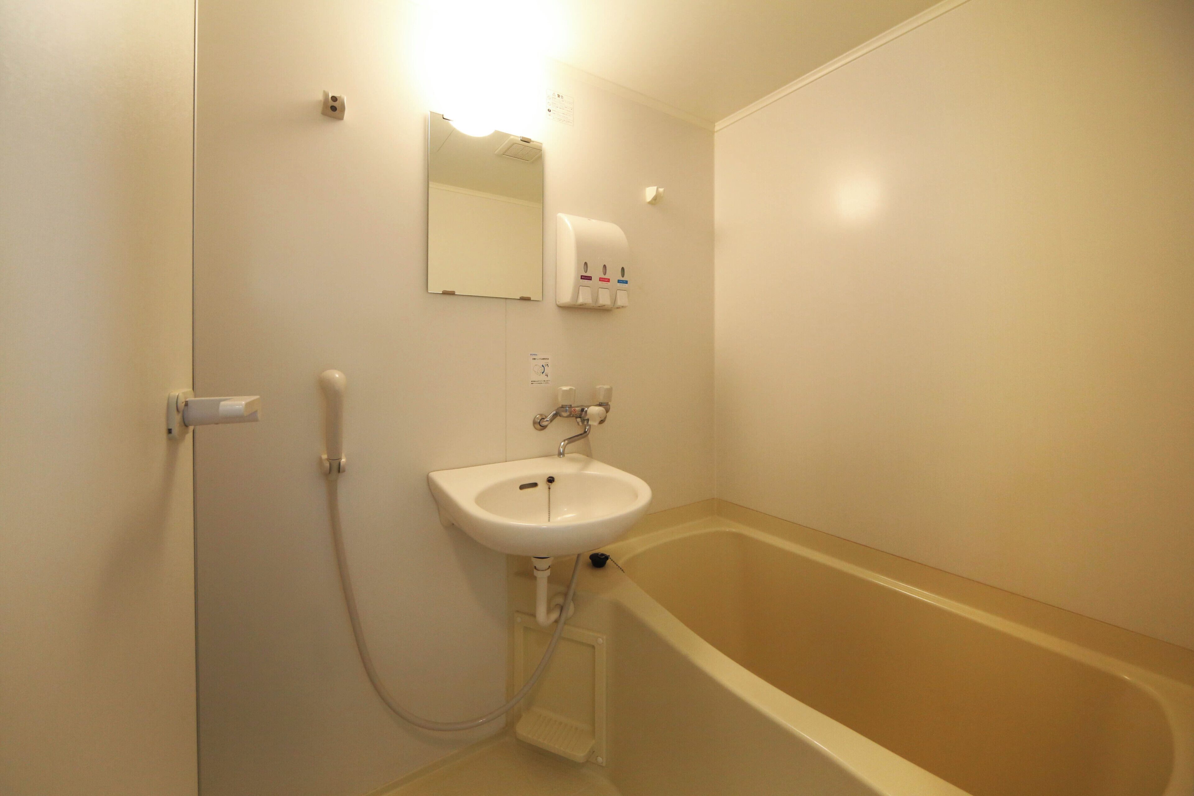 Hair dryer, bidet