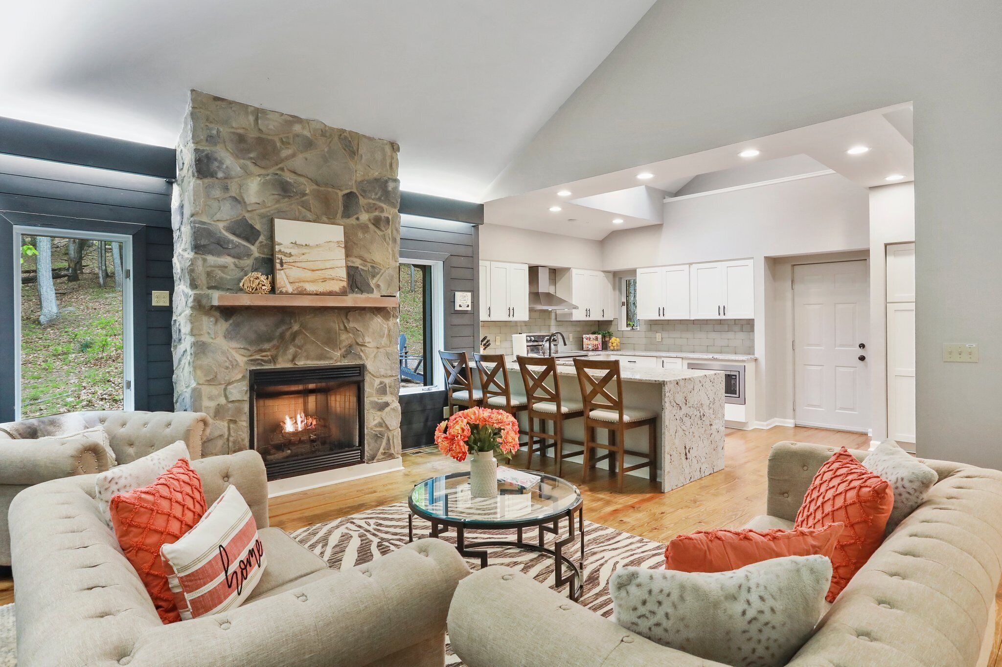 Télévision, cheminée, lecteur de DVD