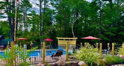 Sleepy Hollow, Pool/AC/Fireplace,Cabin Steps to Loon Lake
