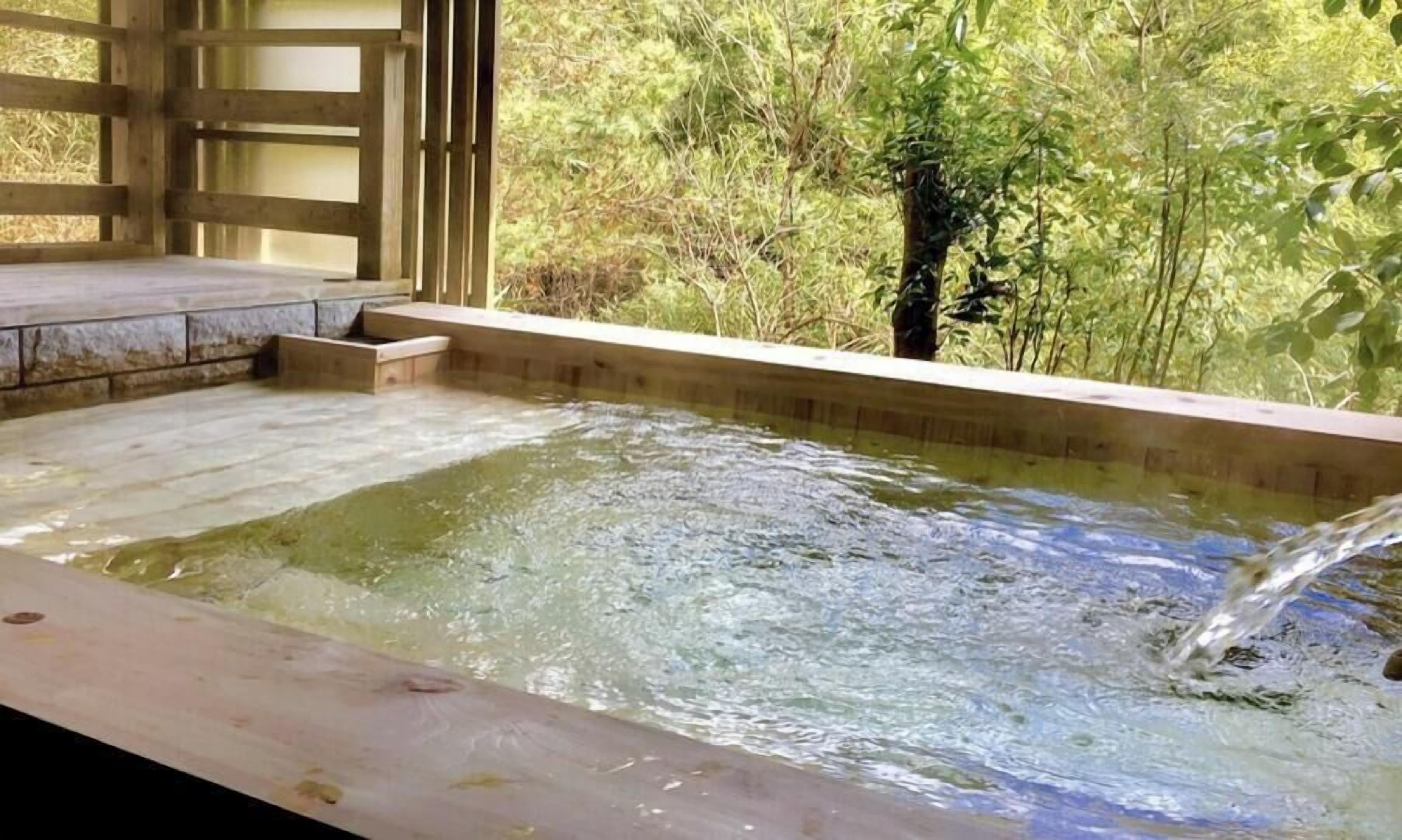 Ein Whirlpool mit Holzterrasse und Blick auf dichtes Grün.