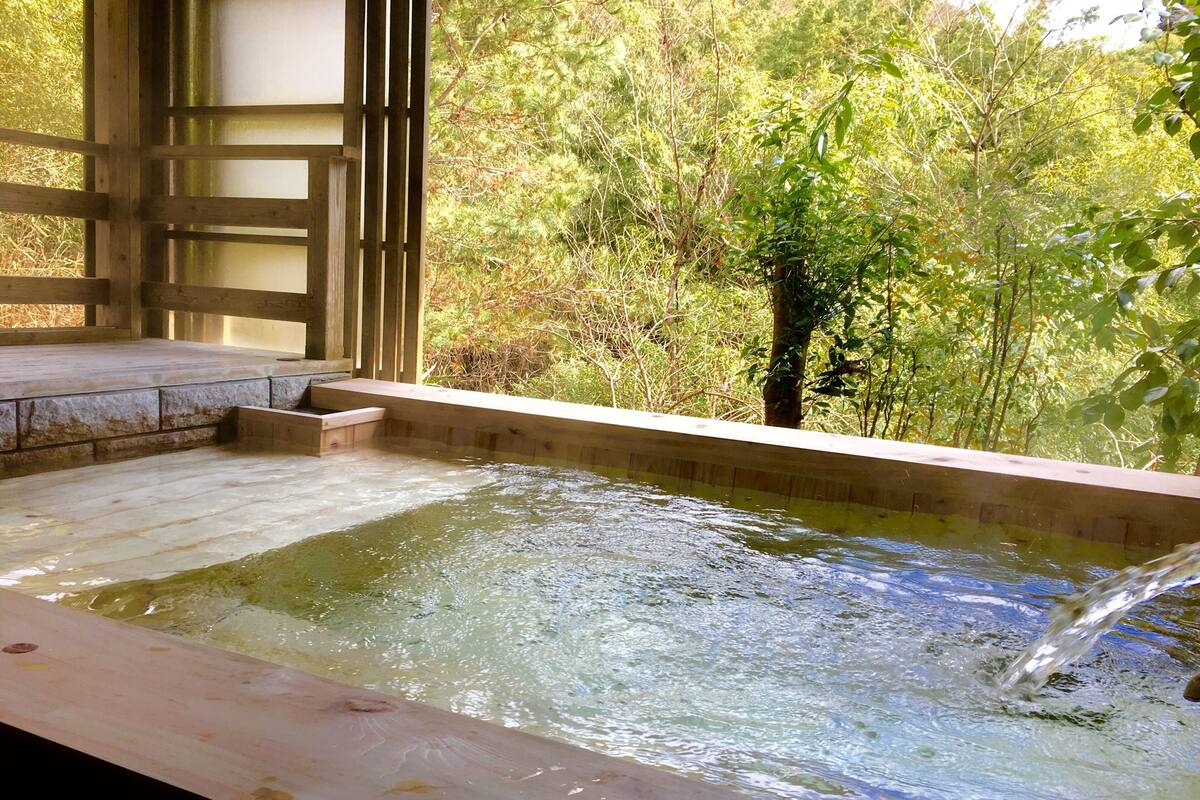 A hot spring bath area with a wooden deck and steps leading into the water.