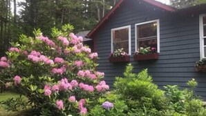 Ein dunkles Holzhaus mit zwei Fenstern, umgeben von üppigem Grün und rosa Blüten.