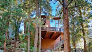 Eine Holzhütte mit Balkon, umgeben von hohen Bäumen und felsigem Untergrund.