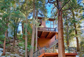 Exterior - Haven Idyllwild: Mountain cabin luxury / stunning views / cedar hot tub  (Idyllwild-Pine Cove)