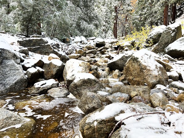 Un arroyo pedregoso con rocas cubiertas de nieve y árboles al fondo.