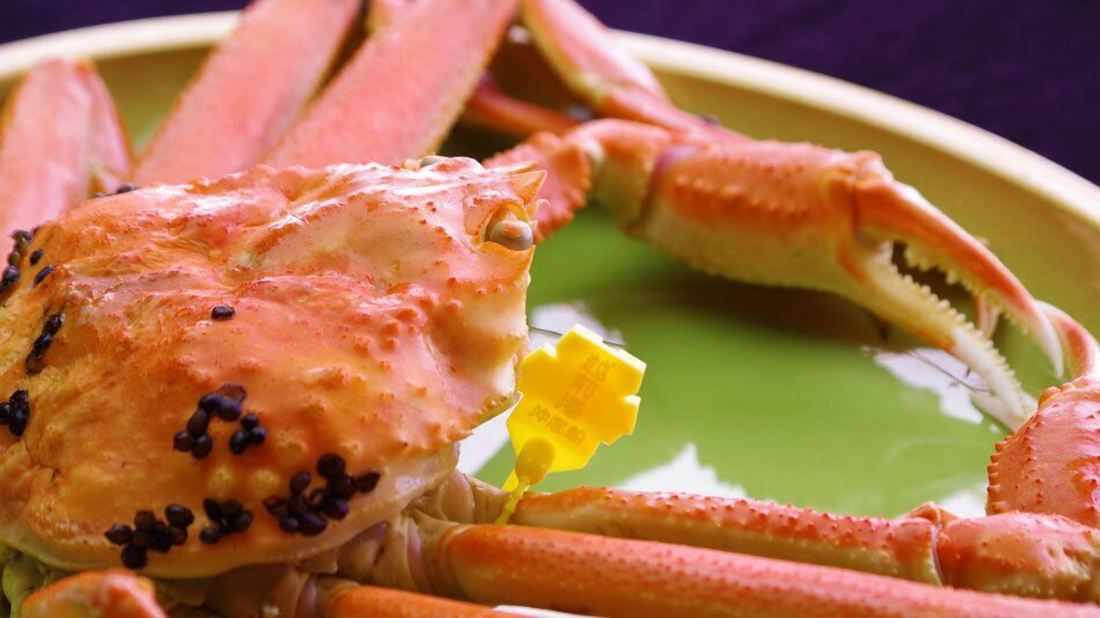 Makanan dan minuman