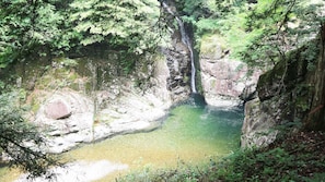 Paisaje rocoso natural con un cuerpo de agua clara rodeado de vegetación densa.