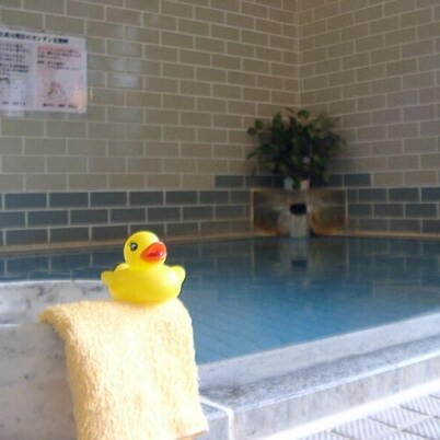 Onogawa Onsen Umeya Ryokan <yamagata>