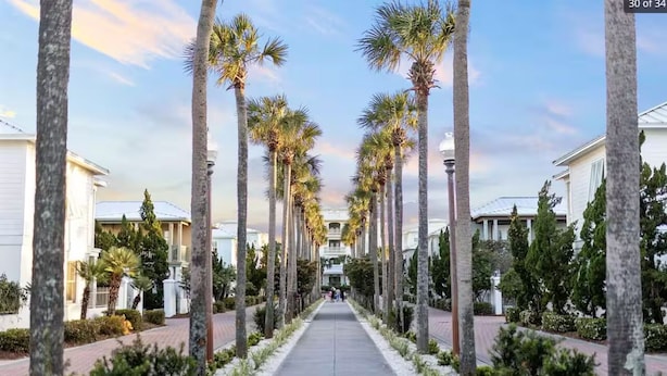 A pathway lined with palm trees leading to a building with a white facade. - Bikes and beach chairs included!30A-Studio between Rosemary and Alys Beach (Seacrest Beach)