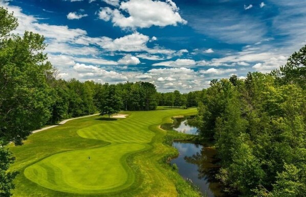 Golf - Crystal Mountain Condo Great Location Dog Friendly! (Thompsonville)