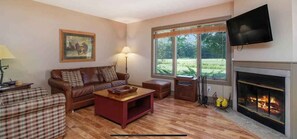 TV, fireplace, DVD player