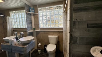 Hair dryer, towels, soap, shampoo