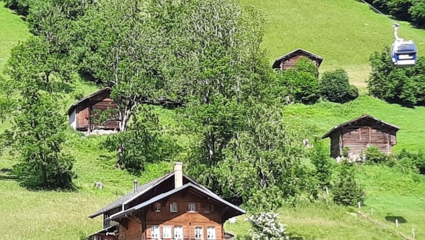 Eksteriør