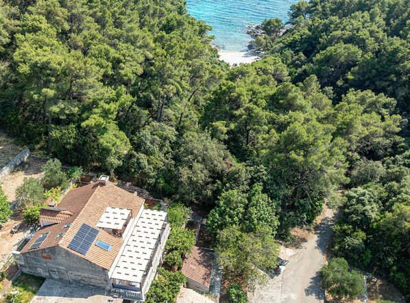 Vista aérea de uma propriedade costeira com floresta densa, praia e um edifício com painéis solares.