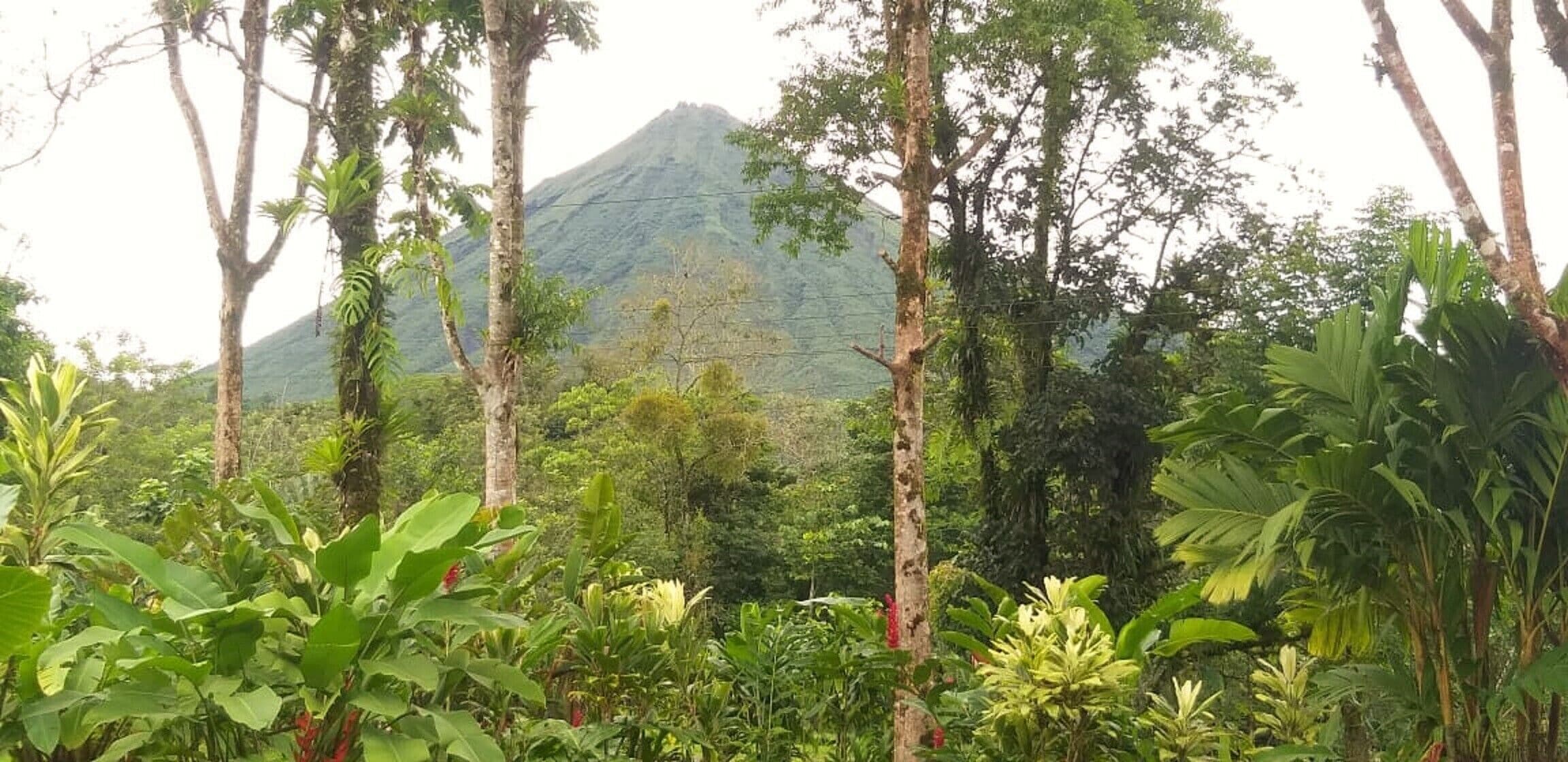 tropical villa with jacuzzi b4 | 1 bedroom, free wifi, bed sheets