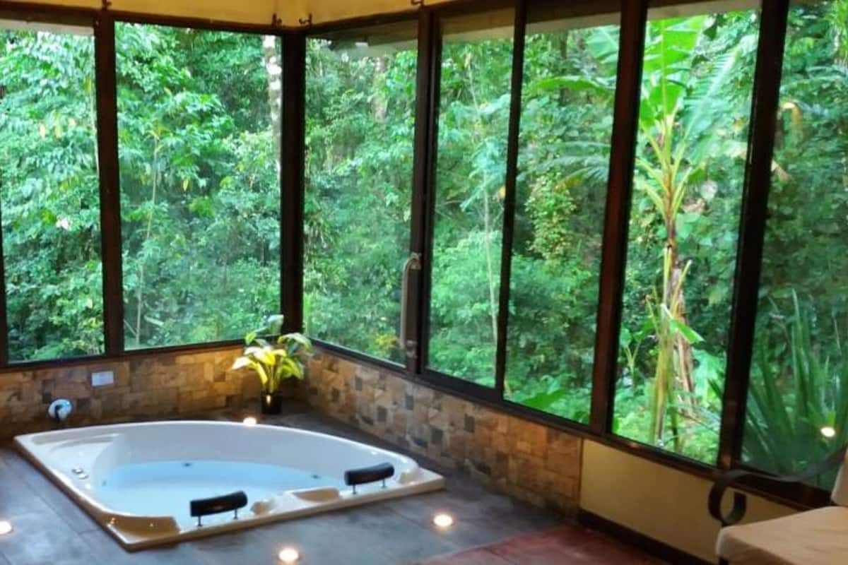 A room with a large window, a bathtub, and a potted plant.