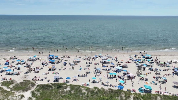 A beach with numerous umbrellas and people.