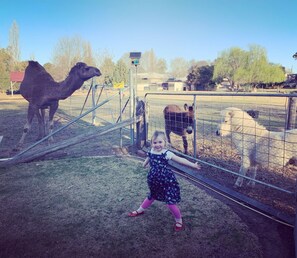 Unclassified image, 2 of 6, button