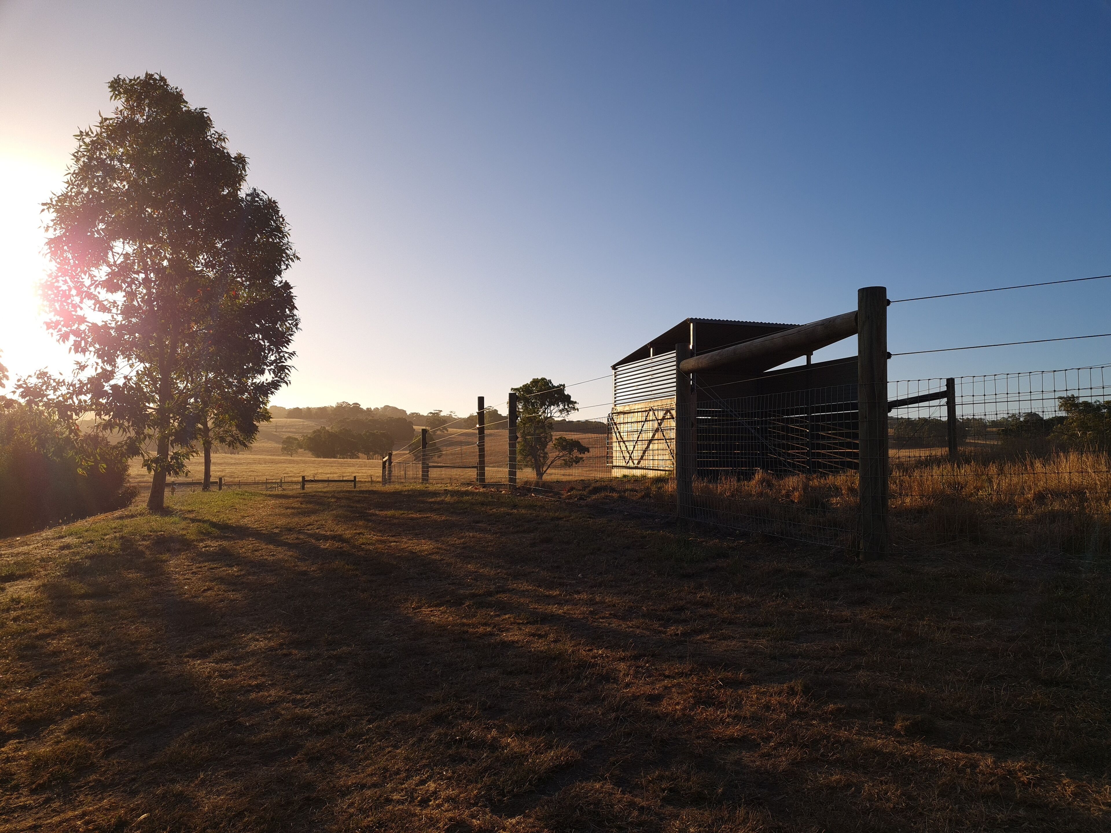 A Taste of Country Life! — image 14