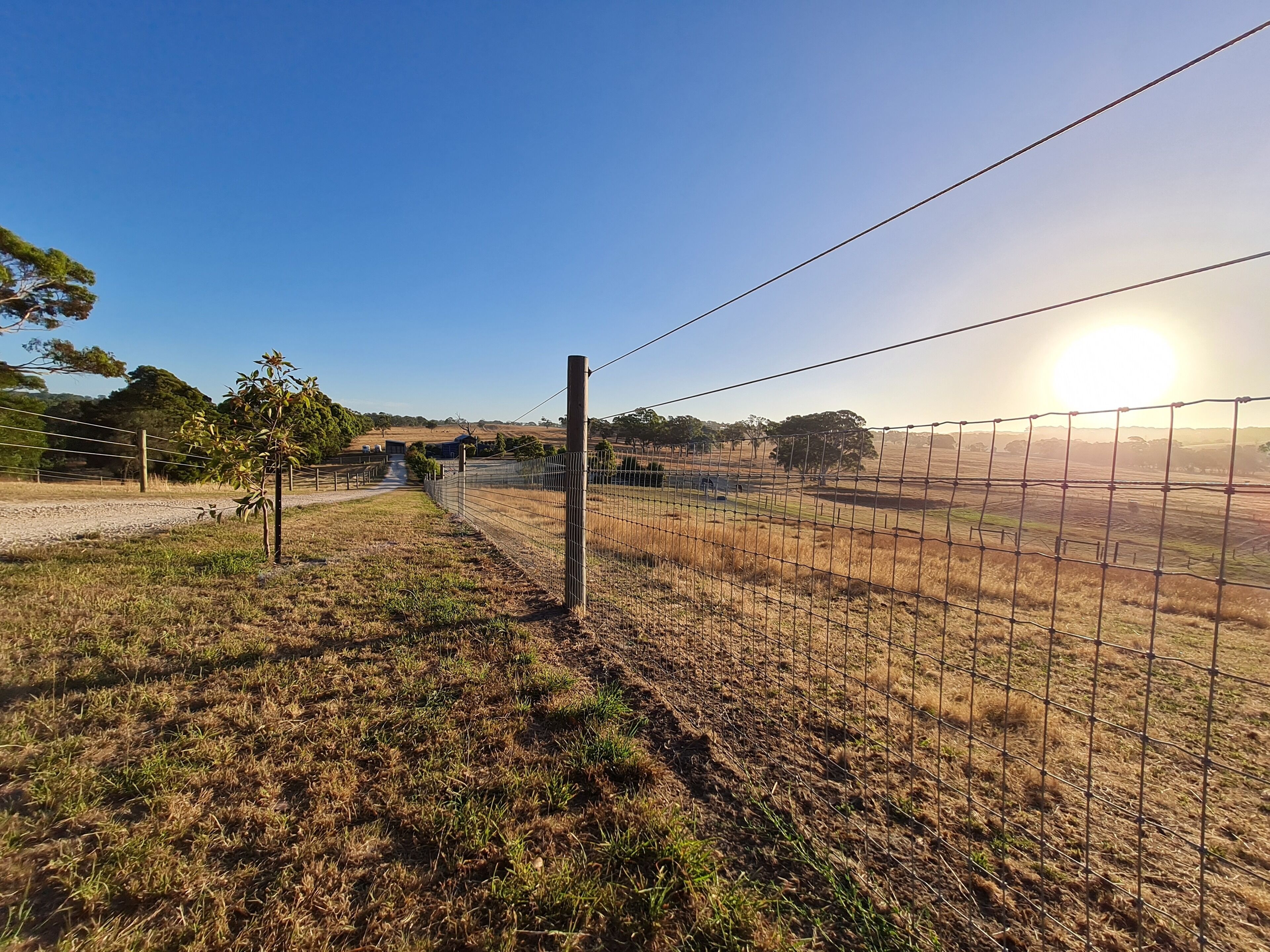 A Taste of Country Life! — image 4