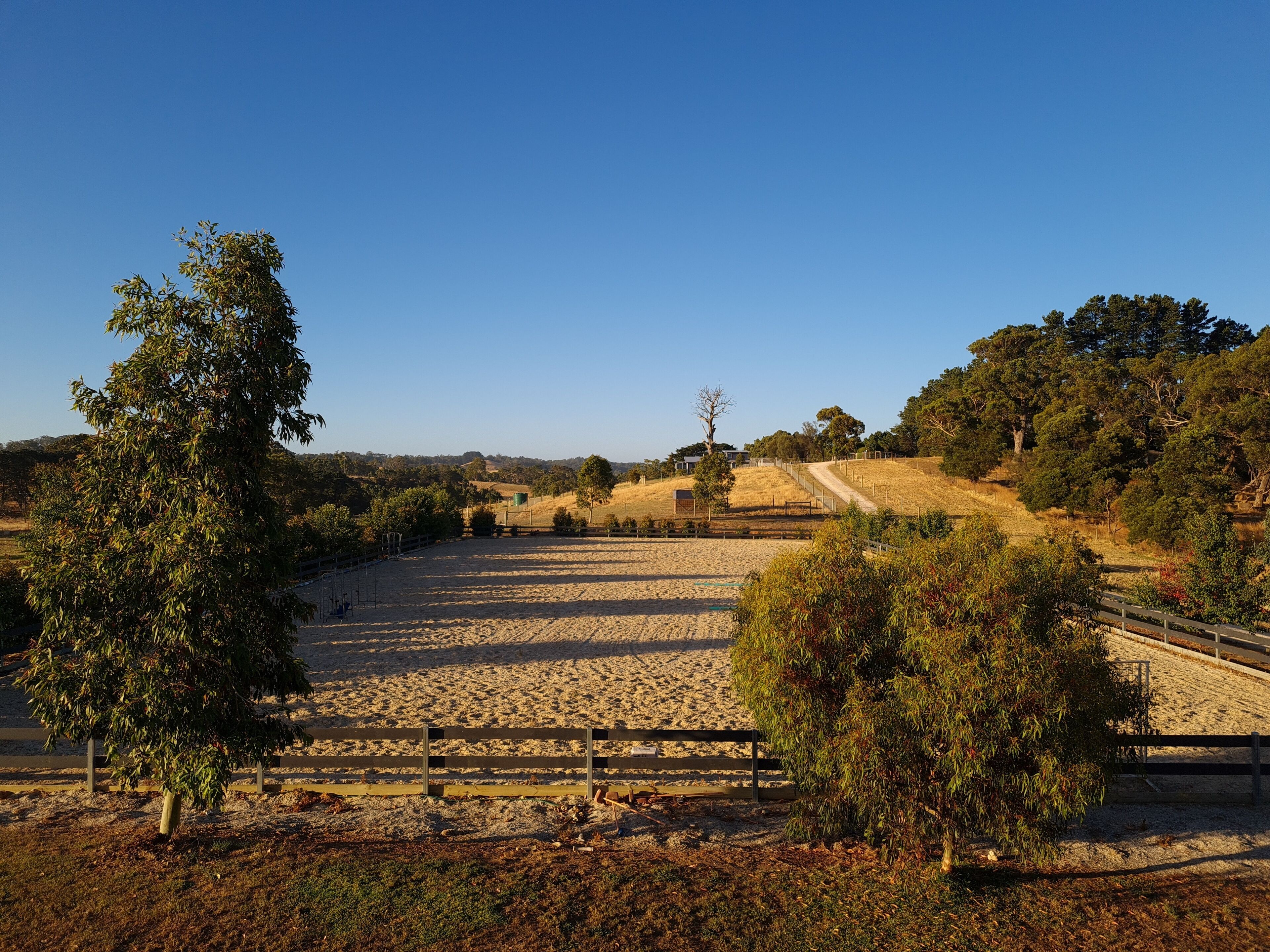 A Taste of Country Life! — image 15