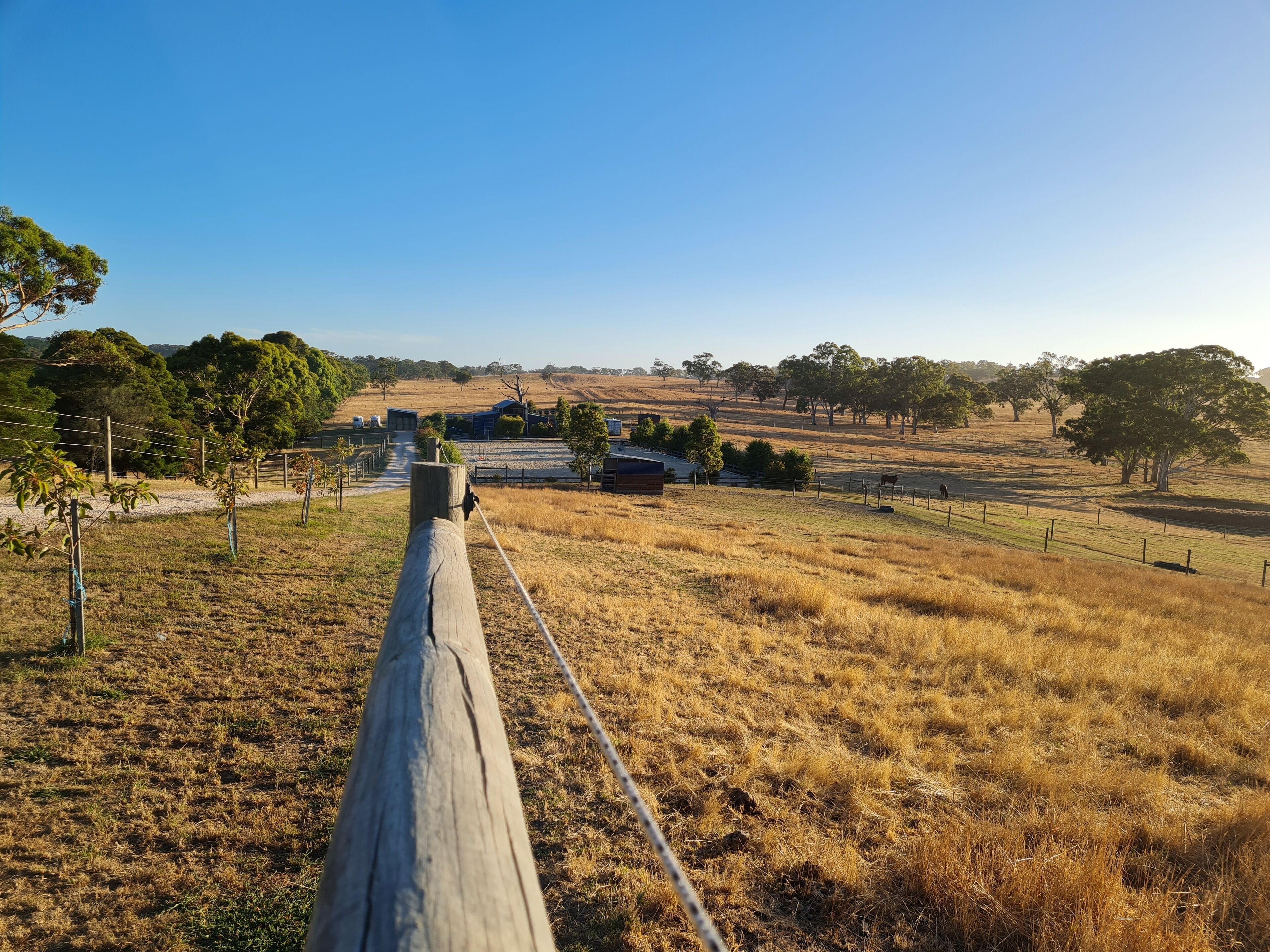 A Taste of Country Life! — image 2