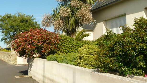 A residential building with a well-maintained garden featuring various shrubs and a palm tree. - The bay house with heated indoor pool (Saint-Jean-du-Doigt)