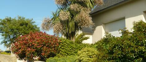 المنطقة المحيطة بالمنشأة