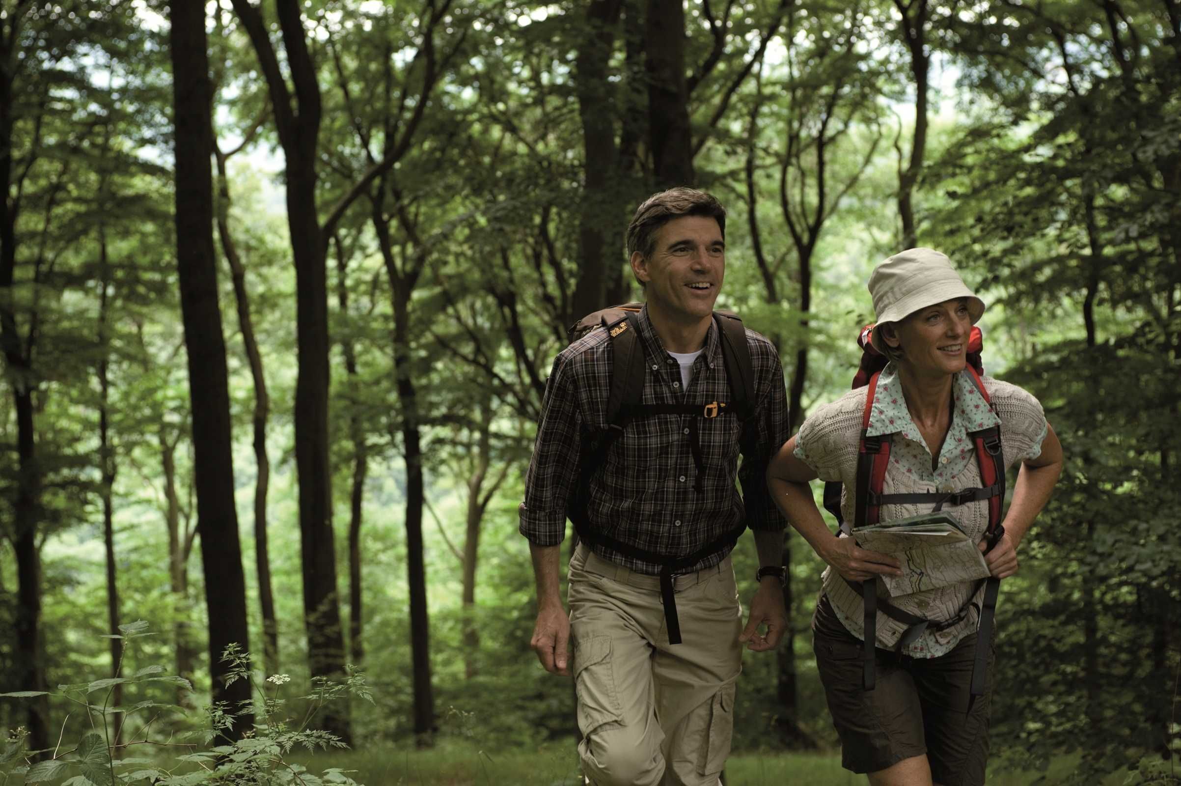 Two people hiking in a forested area.