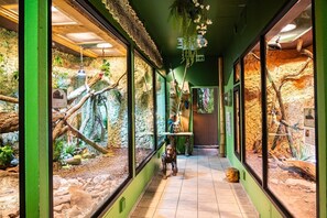 Imagen sin descripción, 2 de 34, botón