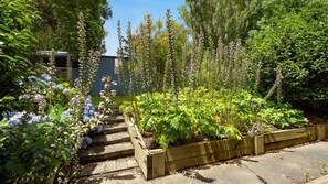 Property grounds - Blue Beachside Luxe Pet Friendly Walk to Beach (Shoreham)