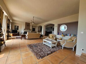 Smart TV, fireplace, books, stereo - Beautiful Villa with panoramic seaviews,  easy walking distance to the village (Tourrettes-sur-Loup)
