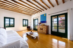 30-inch TV with satellite channels - Traditional Villa 5 Mins on Foot From the Beach (Paros)