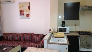 A compact living space with a sofa, a small table, a microwave, and a sink. - Holiday rentals in Tunis (Tunis)