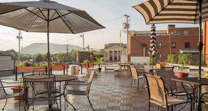 Luxe rooftop retreat in downtown core