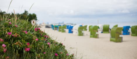 Nära stranden