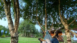 A hammock between trees in a grassy area with a house in the background. - Delightful SPA Cottage With Fire Place and Sauna (Grunwald)