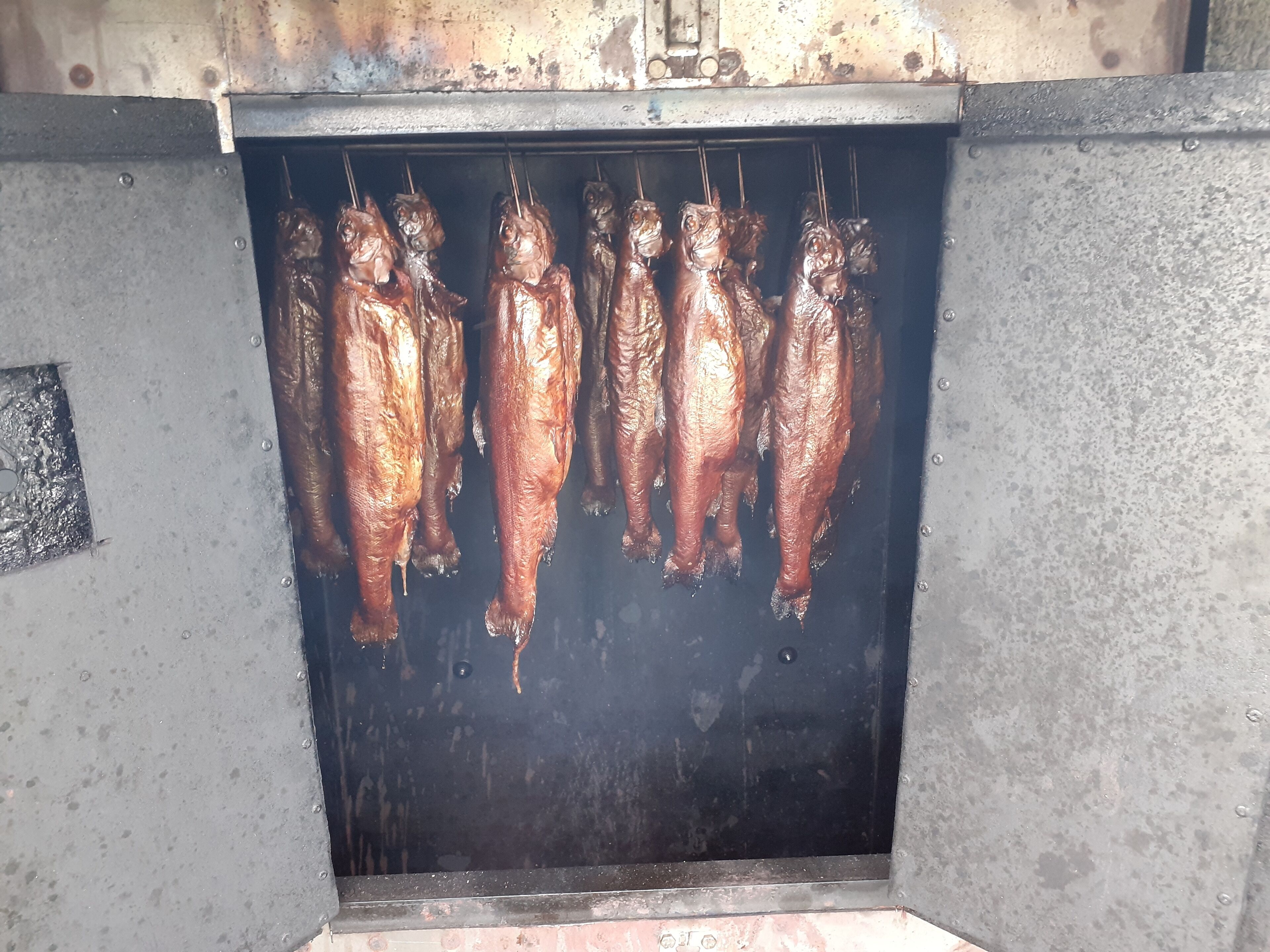 Ein Metallgestell mit mehreren Fischen zum Kochen aufgehängt.