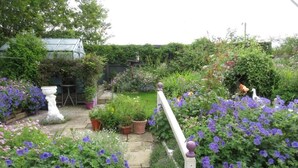 A garden with a white statue, potted plants, and a greenhouse in the background.