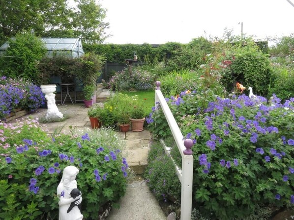 Property grounds - Rose Cottage (Bancyfelin)