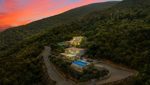 A hillside villa with a swimming pool, surrounded by dense forest.
