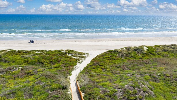 Ein Strand mit einem Feldweg, der zum Wasser führt, umgeben von grüner Vegetation.