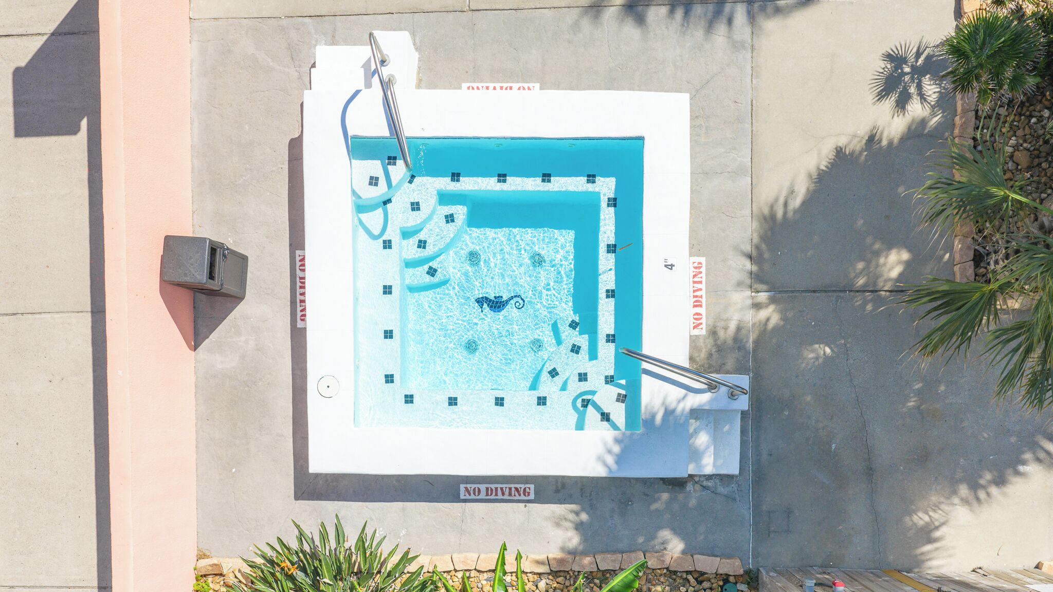 Une piscine carrée, agréée d’un panneau interdisant la plongée, entourée d’une terrasse en béton et de palmiers.