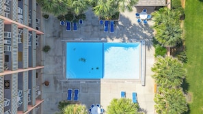 A rooftop pool with lounge chairs, a diving board, and a palm tree-lined area.
